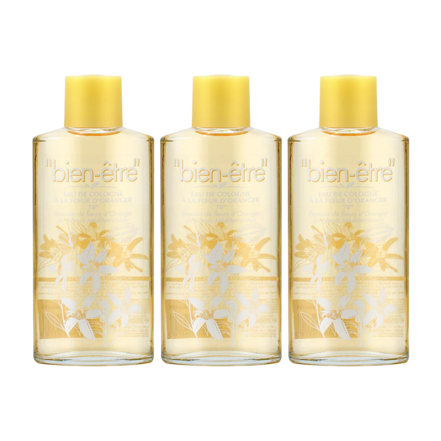 Bien être - Orange | 250ml